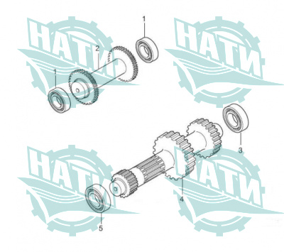 Reverse shaft(axis d)and primary shaft(b axis)